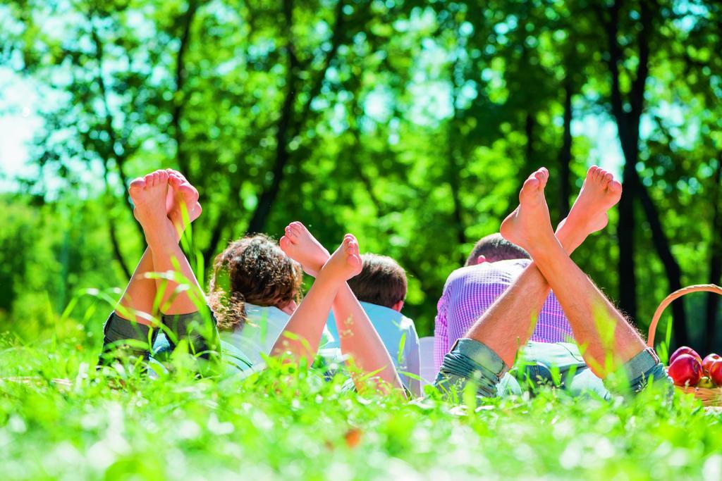 ホテルNatuurpark De Witte Bergen Rouveen 部屋 写真