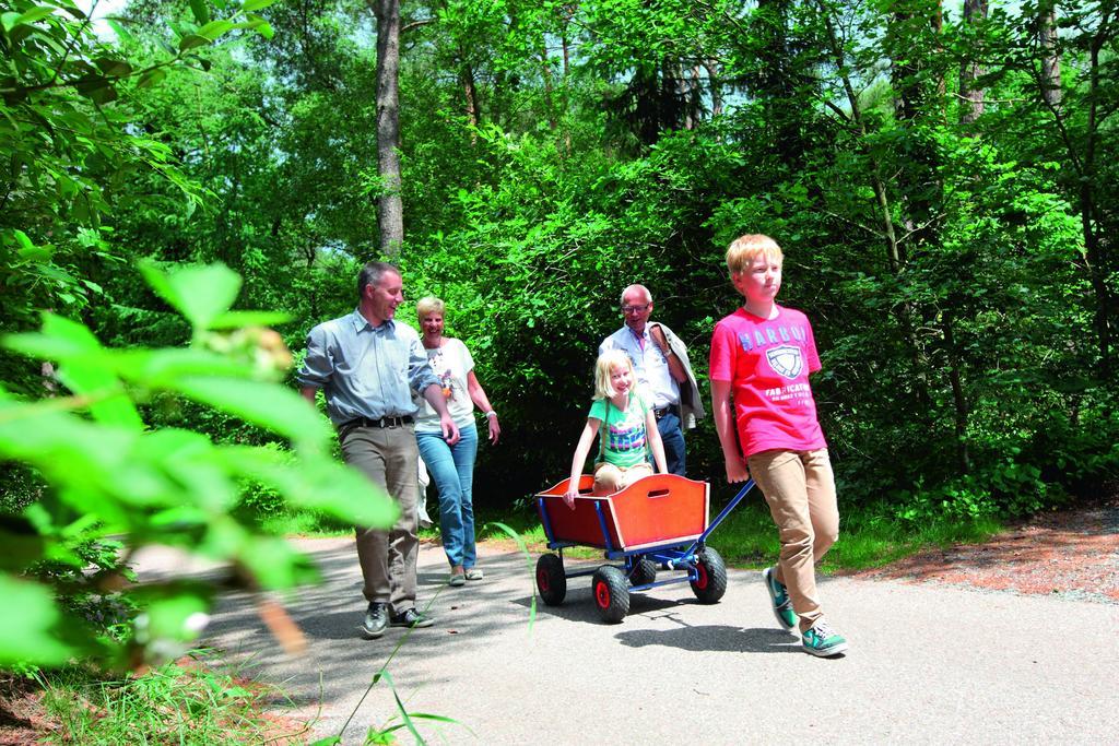 ホテルNatuurpark De Witte Bergen Rouveen 部屋 写真