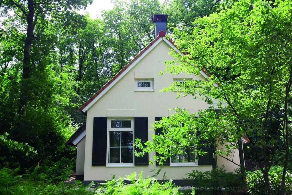 ホテルNatuurpark De Witte Bergen Rouveen 部屋 写真